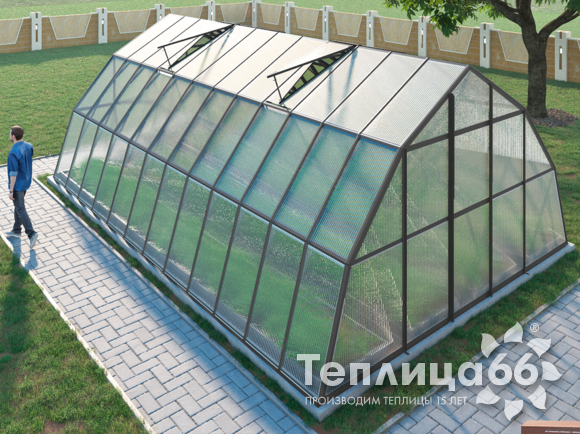 Теплица Рада Балхаш из поликарбоната, 5х8 метров, графитовая